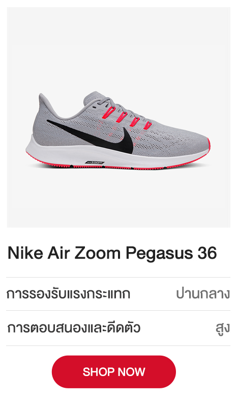 Nike-Air-Zoom-Pegasus-36