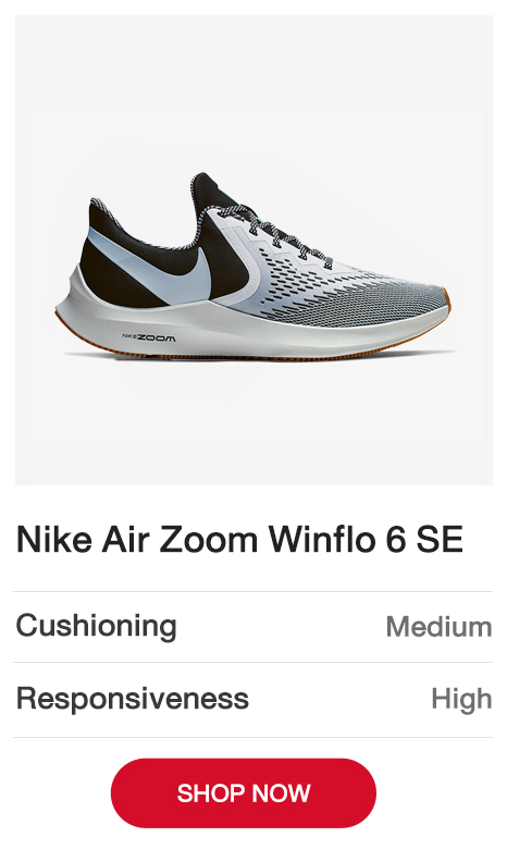 Nike zoom winflo 6 clearance se