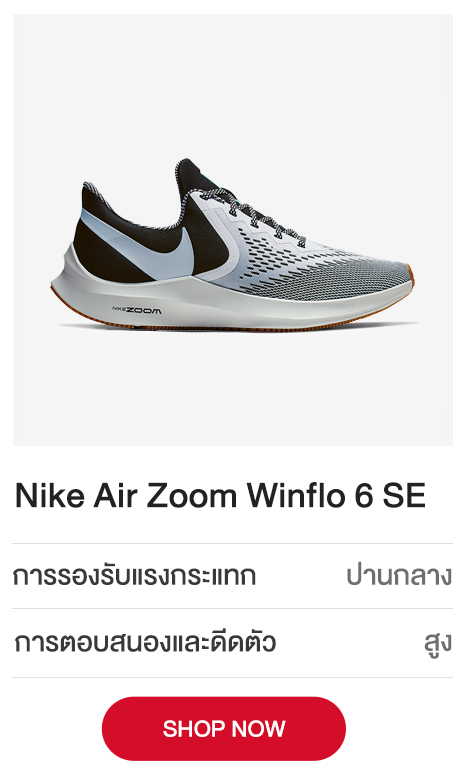 Nike-Air-Zoom-Winflo-6-SE