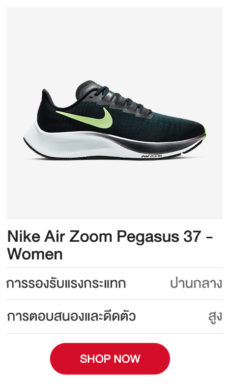 Nike Air Zoom Pegasus 37 - Women